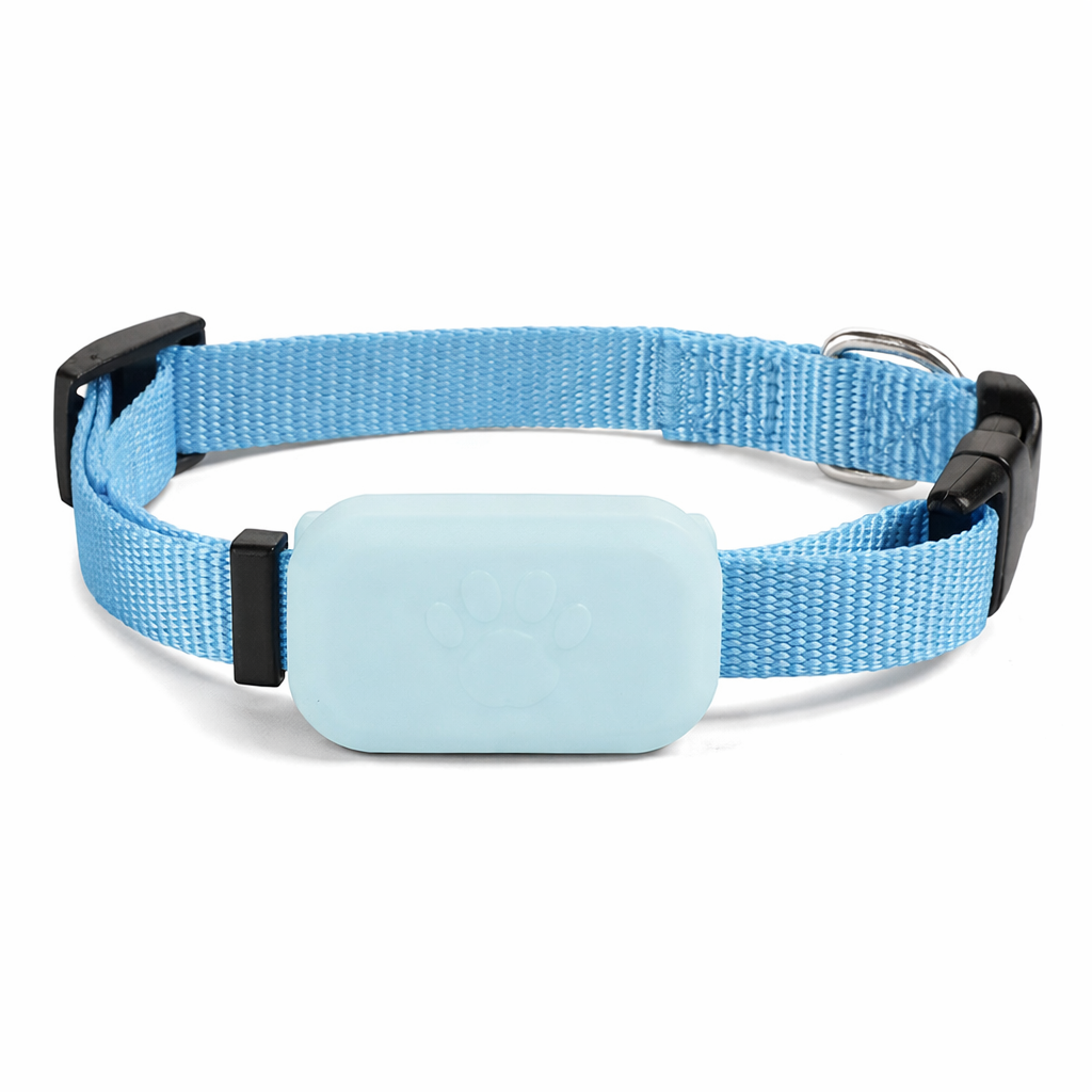Verbena, Global Find My GPS Locator for Cats