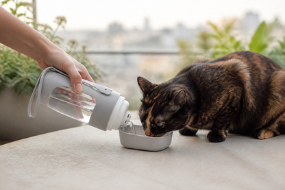 Dapple, Portable Water Bottle for Cats