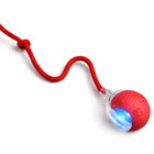 Walnut, Interactive Rolling Ball Toy for Cats and Dogs
